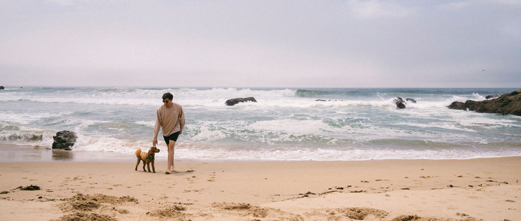 Highway West Vacations. Person walking along a beach with their dog.